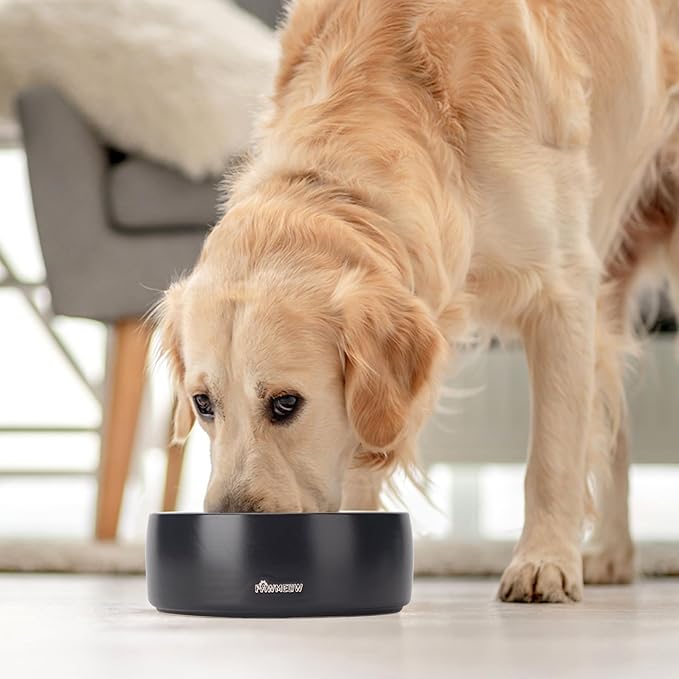 Ceramic Dog Bowl | 5.5inch Dog Bowl, Spill Proof, Non-Slip Pet Feeding Bowl for Small & Medium Breed(16 oz) (Black, 5.5-8inch)