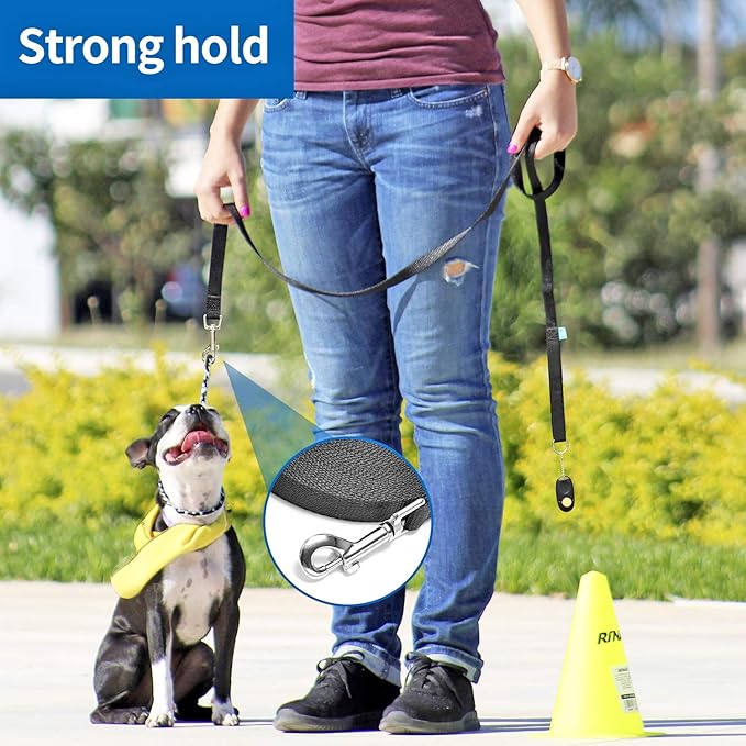 BAAPET 15/20/30/50/100 ft Long Dog Training Leash with Clickers for Small, Medium and Large Dogs or Cats (20 Feet, SkyBlue)
