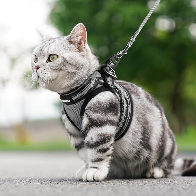rabbitgoo Cat Harness and Leash, Step-in Escape Proof Kitten Harness Set, Soft Comfortable Cat Vest, Easy to Wear and Adjust, Reflective for Safe Outdoor Walking, Grey, Medium
