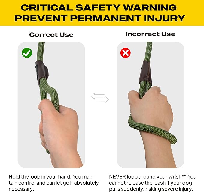 Fida Durable Slip Lead Dog Leash, 6 FT x 3/8" Heavy Duty Comfortable Strong Rope Slip Lead for Small Dogs and Puppies, No Pull Pet Training Leash with Highly Reflective(3/8", Green)