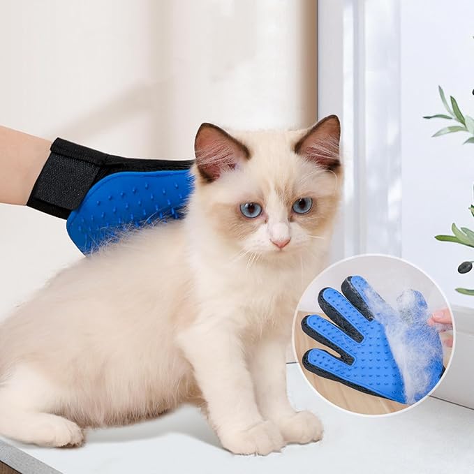 Kitten Starter Kit - 15 Piece Cat Essentials Set Includes Litter Box, Toys, Collars, Scratch Pad, Nail File, Automatic Feed Bowls, Grooming Gloves
