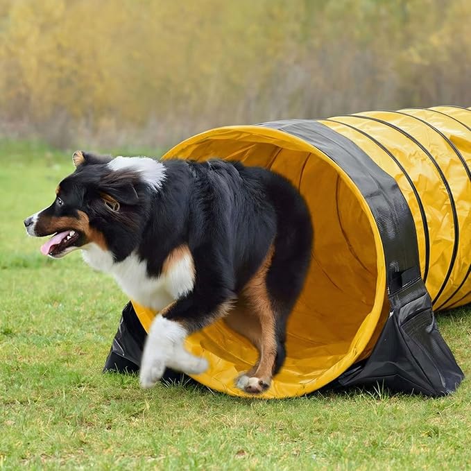 Briwooody 24 in 10 Foot PVC Dog Agility Tunnel with Sandbags Dogs Agility Training Equipment Tunnel with 2 Pack Sandbags, Carry Bag and 4 Ground Spikes for All Medium Large Dogs(Yellow)