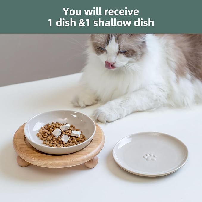 Havniva Cat Bowls Elevated 5.6” Ceramic Cat Bowl with Stand Whisker Friendly Shallow Cat Dishes, Cat Food & Water Bowl Set with Two Heights Options, Anti-Slip Raised Cat Food Bowl for Kitten