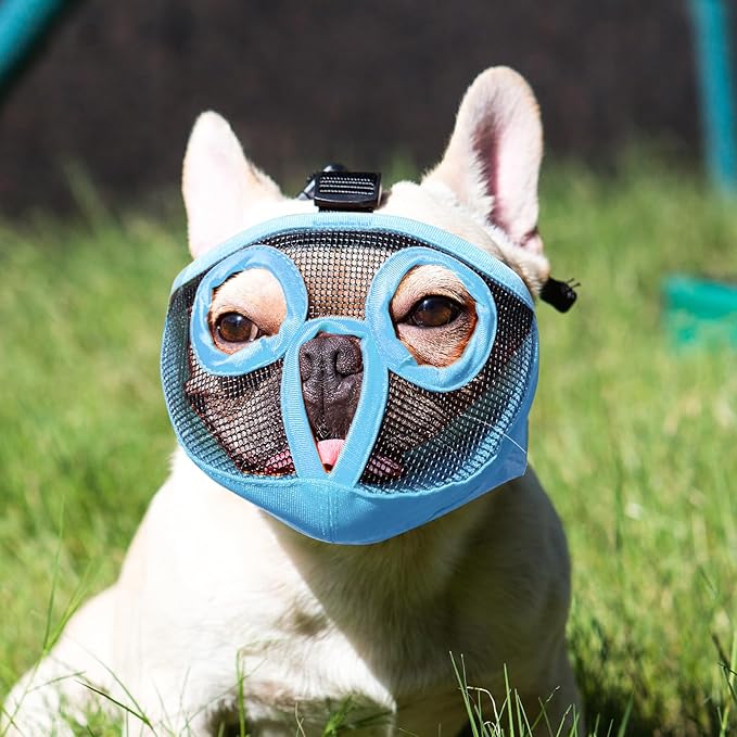Short Snout Dog Muzzles- Adjustable Breathable Mesh Bulldog Muzzle for Biting Chewing Training Grooming Dog Mask,Blue M