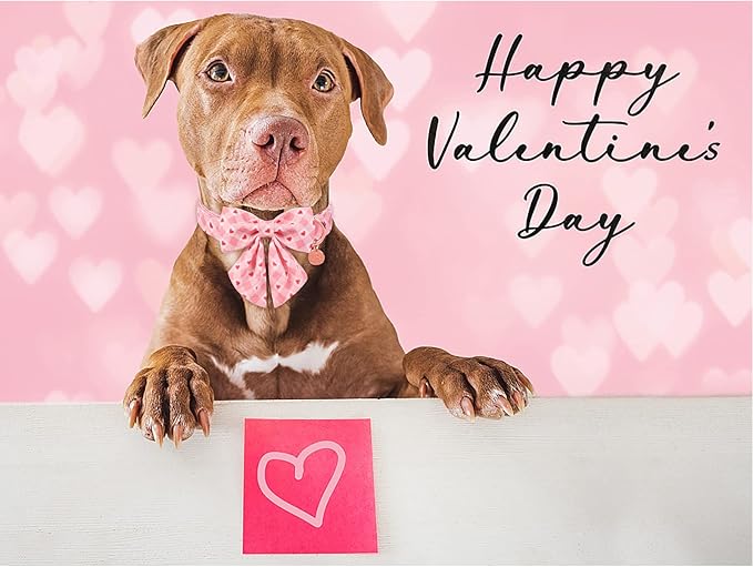 Valentine Dog Collar with Bow Tie, Valentine Bowtie Collar for Puppy Girl Dog or Cat, Cotton Collar with Metal Buckle, Valentine’s Gift Pet Collar, XS, Pink Plaid