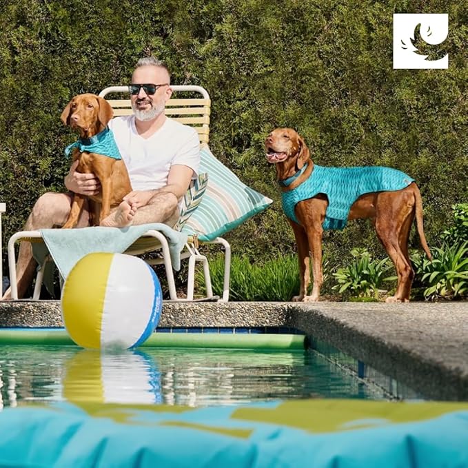 RC Pet Products Zephyr Cooling Vest, Extra Extra Small, Aqua (Large, Waves)