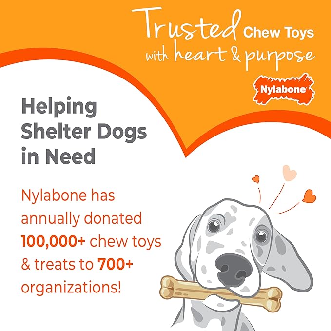 Nylabone Textured Ring Power Chew Toy for Small Dogs, Durable Dog Toys for Aggressive Chewers, Strong Dog Chew Bones To Keep Them Busy, Flavor Medley, Small - Up to 25 lbs, 1 Count