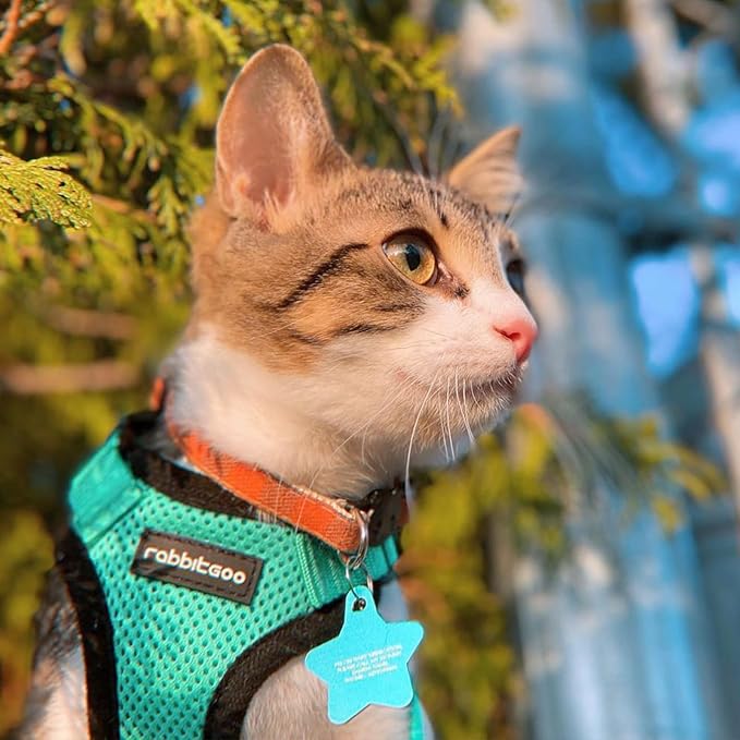 rabbitgoo Cat Harness and Leash Set, Escape Proof Kitten Harness for Safe Outdoor Walks, Soft Breathable Adjustable Vest with Reflective Strips for Kittens and Small Cats, Emerald, XS