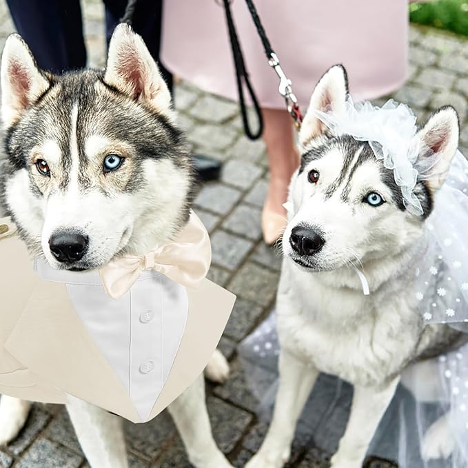 AOFITEE Dog Tuxedo Formal Dog Suit and Bandana Set, Gentle Dogs Wedding Party Suit Bow Tie Shirt, Tuxedo for Medium Dogs Costume Outfit with Detachable Bowtie Collar for Christmas Halloween Dress Up