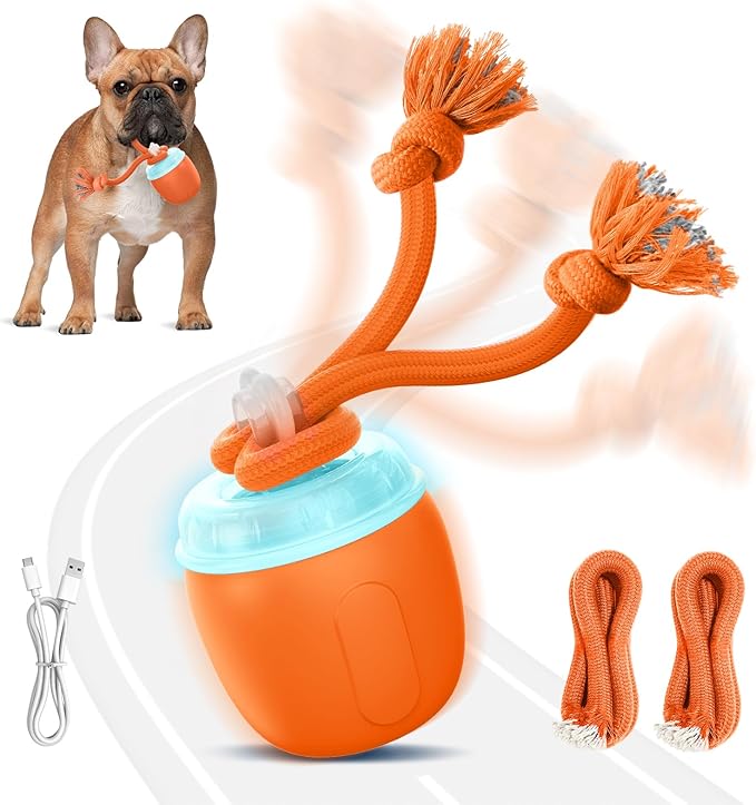 Interactive Dog Toys, Automatic Moving and Rolling Dogs Toy with Rope for Small Dogs, Motion-Activated Dog Ball to Keep Them Busy(Orange)