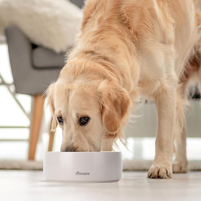 Ceramic Dog Bowl | 5.5inch Dog Bowl, Spill Proof, Non-Slip Pet Feeding Bowl for Small & Medium Breed(16 oz) (Gray, 5.5-8inch)