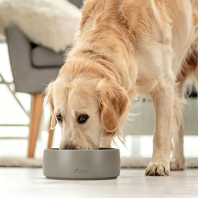 Ceramic Dog Bowl | 5.5inch Dog Bowl, Spill Proof, Non-Slip Pet Feeding Bowl for Small & Medium Breed(16 oz) (Gray, 5.5inch)