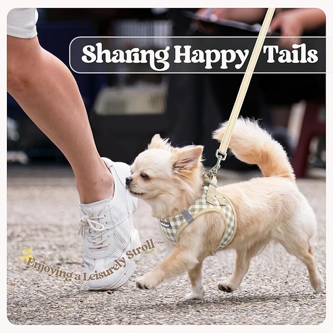 rabbitgoo Dog Harness Small Sized and Leash Set, Step in Soft Light Puppy Vest, Breathable Mesh Pet Harness, Reflective for Safe Easy Walking, Beige Plaid XS