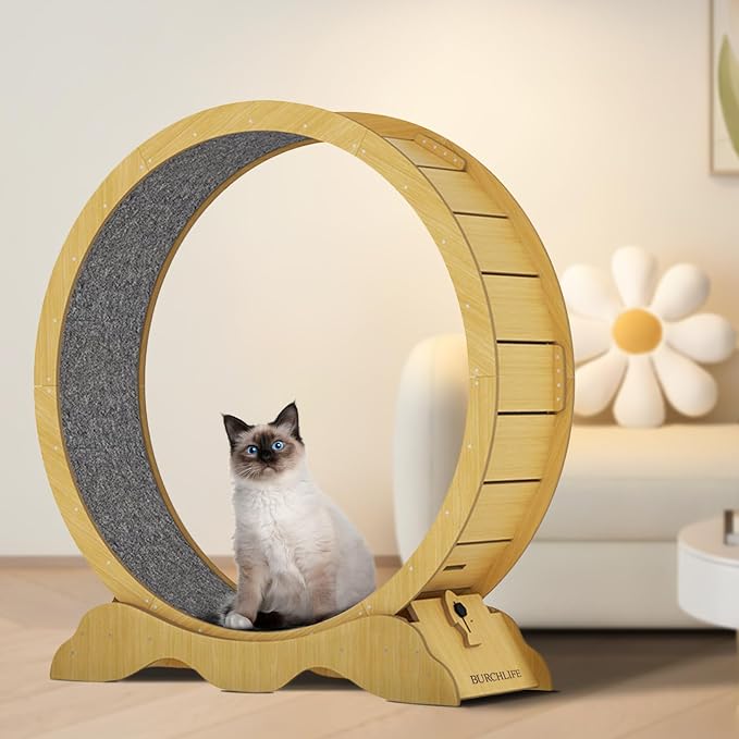 Cat Exercise Wheel 45 Inch Cat Treadmill for Indoor Cats, Running Wheel with Detachable Carpeted Runway, Cats Running Wheel Carpet Suitable for Most Pets Weight Loss and Health (Wood, L)