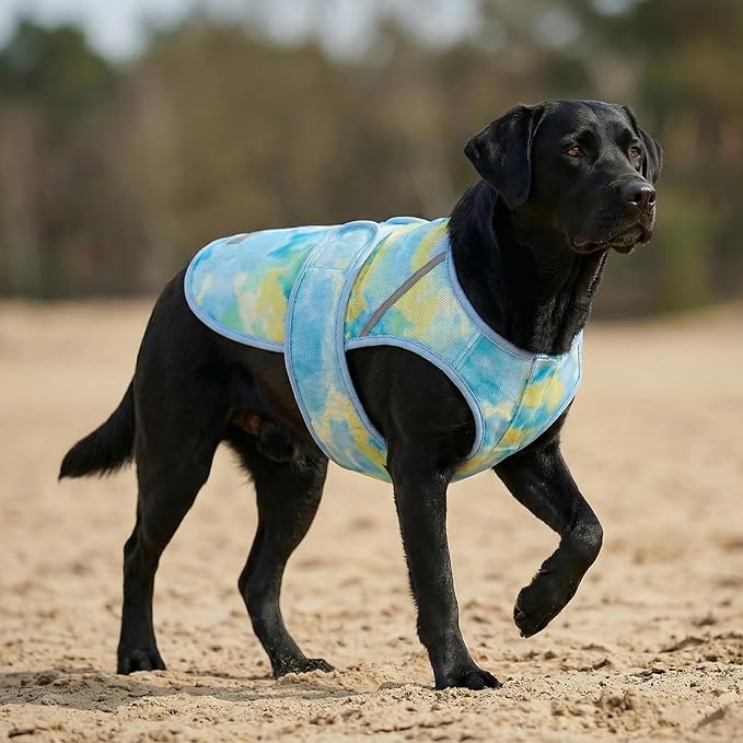 KYEESE Dog Cooling Vest, Lightweight Dog Cooler Jacket, 3D Breathable Mesh Pet Cooling Shirts for Summer with Reflective Stripe, Sun Protection Pet T Shirt for Beach, Hiking, Walking, Blue, 2XL