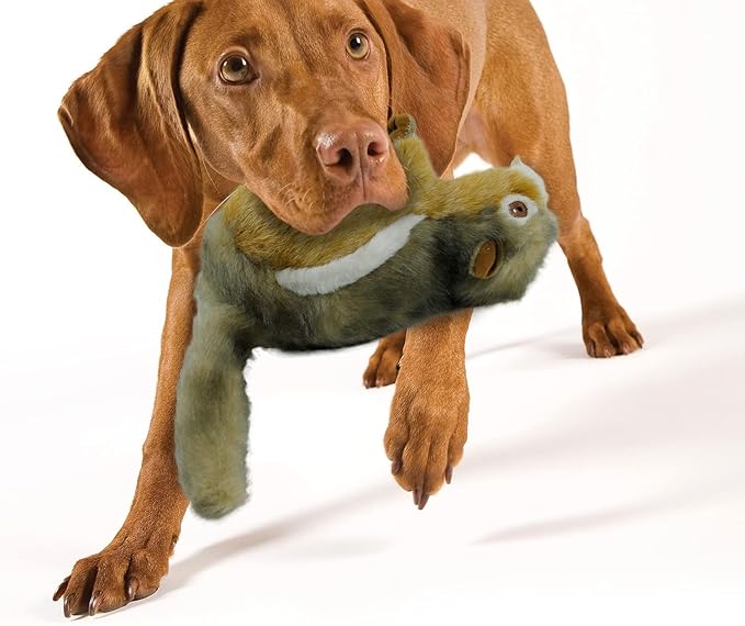 ALL FOR PAWS Dog Squeaky Toys Stuffed Animal Chipmunk Pet Plush Toys Squeak Chew Toy for Dogs Large