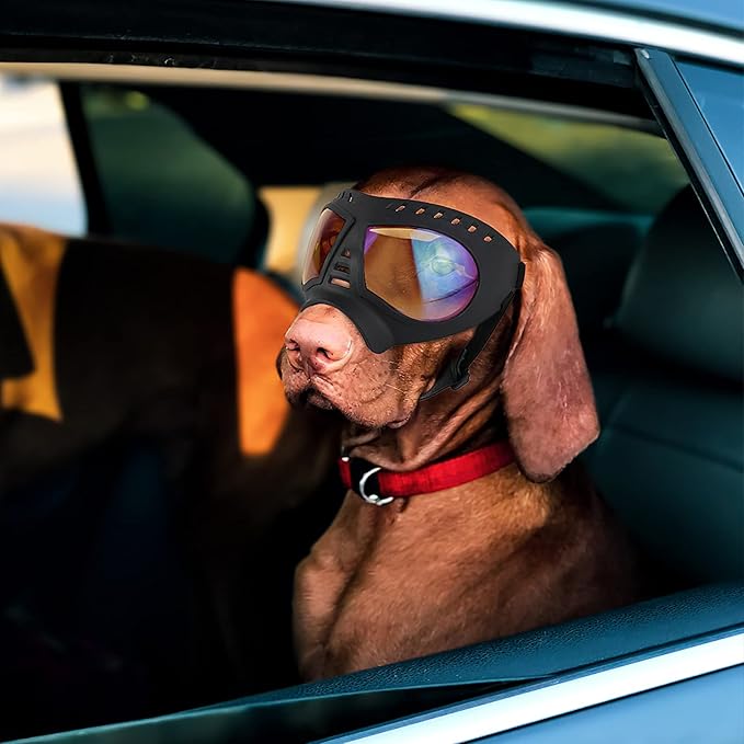Large Dog Goggles Pet Eyes Protection for Medium to Large Breed, Windproof Snowproof UVproof Dog Sunglasses for Outdoor Hiking/Cycling/Driving, Soft Frame Adjustable Straps, Clear Blue Lens