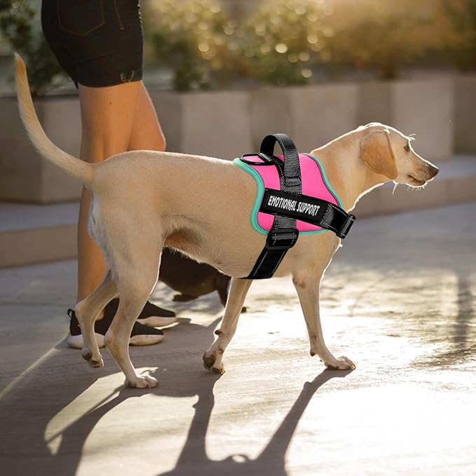 voopet Service Dog Harness, Emotional Support Pet Vest Harness, Reflective Breathable and Adjustable No-Pull ESA Dog Harness for Small Medium Large Dogs (with 4 PCS Removeable Tags)