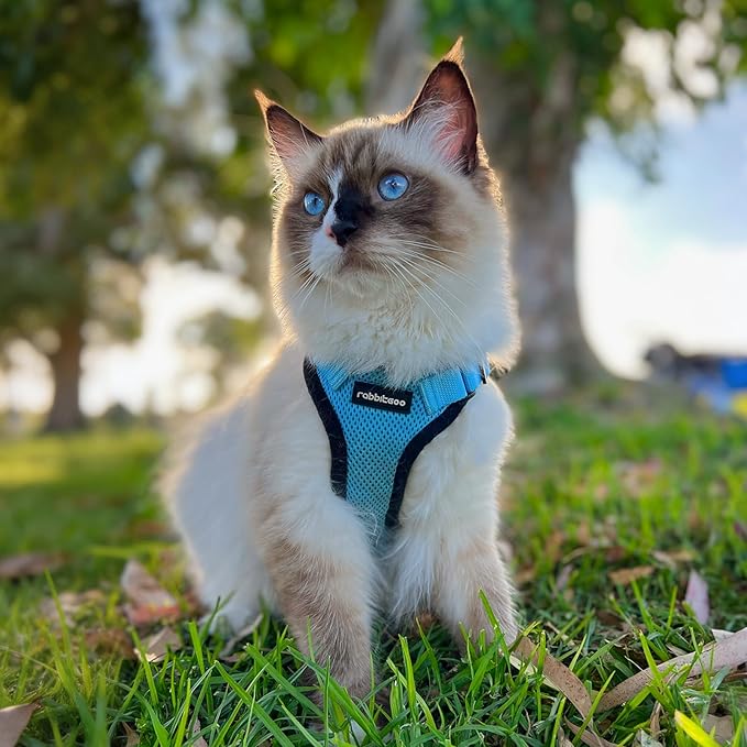 rabbitgoo Cat Harness and Leash Set, Escape Proof Kitten Harness for Safe Outdoor Walks, Soft Breathable Adjustable Vest with Reflective Strips for Kittens and Extra Small Cats, Light Blue, XXS