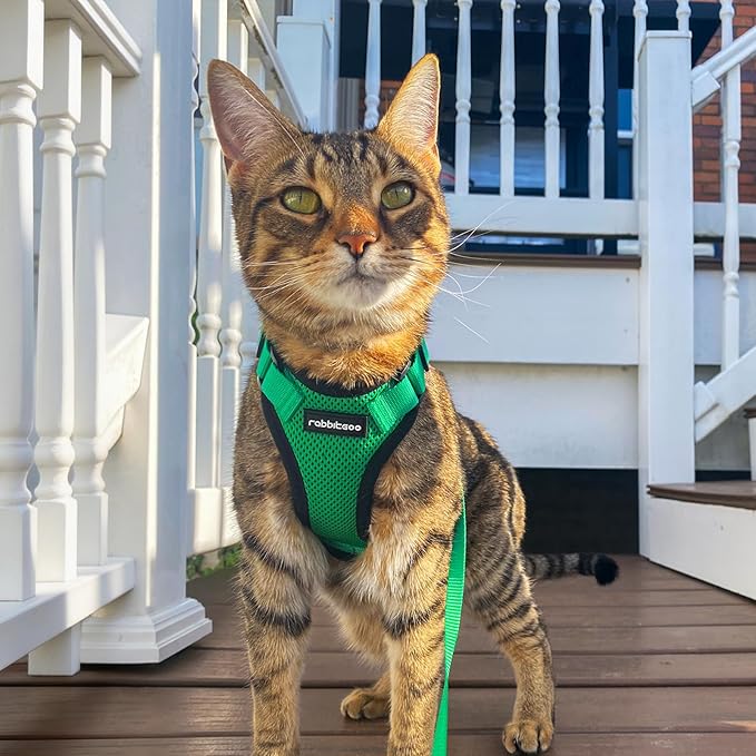 rabbitgoo Cat Harness and Leash for Walking, Escape Proof Soft Adjustable Vest Harnesses for Cats, Easy Control Breathable Reflective Strips Jacket, Grass Green,M