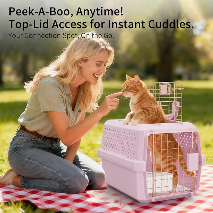 RIZZARI Small Hard Sided Pet Carrier, Ventilated Plastic Travel Crate with Metal Door and Top Handle for Small Dogs and Cats, Pink Small, Ideal for Car Travel Vet Visits and Daily Use