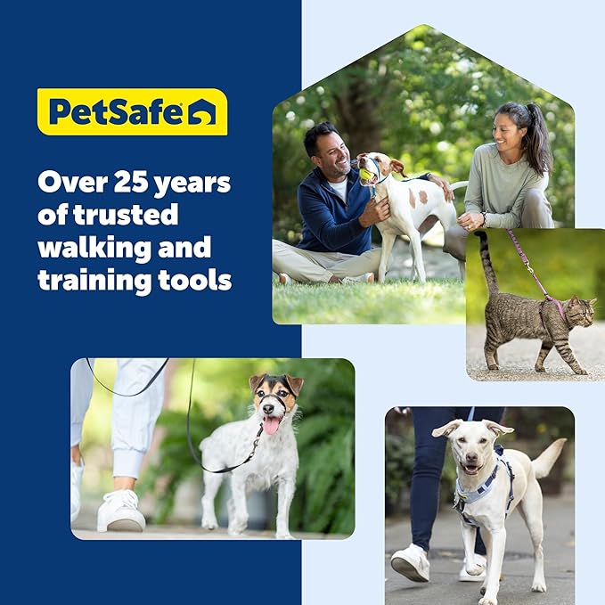 PetSafe EasySport Harness Padded Straps Fully Adjustable Elastic Neckline Best for Athletic Dogs Top Handle for Quick Control - Small - Teal