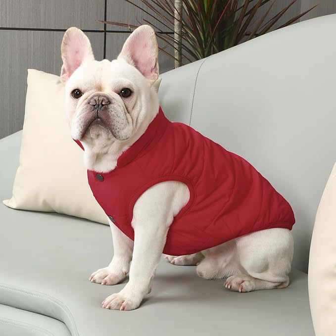 JoyDaog 2 Layers Fleece Lined Warm Dog Jacket for Puppy Winter Cold Weather,Soft Windproof Small Dog Coat,Red M