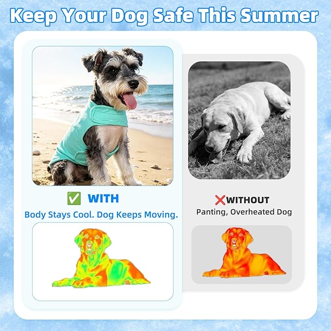 PUPTECK Dog Cooling Vest, Breathable Mesh PVA Dog Shirt, Lightweight Soft Instant Chill Sleeveless Pet Clothes, Adjustable Cooler Jacket Puppy Outfit for Hot Summer Outdoor, Green M