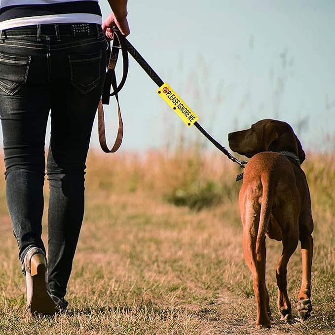 Funny Dog Leash Sleeve Please Ignore Me Dog Leash Wrap Sleeve Pet Birthday Gift (Please Ignore Me-YE Sleeve)