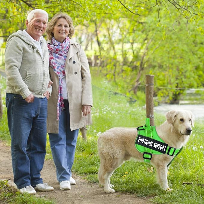 voopet Service Dog Harness, Emotional Support Pet Vest Harness, Reflective Breathable and Adjustable No-Pull ESA Dog Harness for Small Medium Large Dogs (with 4 PCS Removeable Tags)