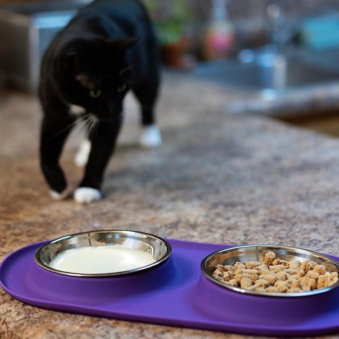 Messy Cats Double Silicone Feeder with Stainless Saucer Shaped Bowl | Anti-Slip Non-Skid Cat Food Bowls | Two Cat Bowls in Feeding/Water Station | 1.75 Cups per Bowl (Watermelon)