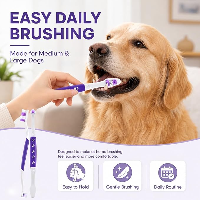 Dog Toothbrush – Newly Upgraded Dual-Head Design with 60° Wavy Bristles–Gently Surrounds Teeth for Deep Cleaning and Plaque Removal – Non-Slip Handle, Ideal for Daily Pet Dental Care (Purple, 2-Pack)