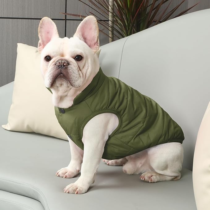 JoyDaog 2 Layers Fleece Lined Warm Dog Jacket for Winter Cold Weather,Soft Windproof Medium Dog Coat,Green L