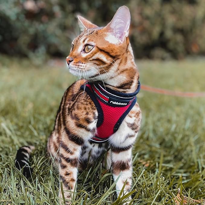 rabbitgoo Cat Harness and Leash, Step-in Escape Proof Kitten Harness Set, Soft Comfortable Cat Vest, Easy to Wear and Adjust, Reflective for Safe Outdoor Walking, Red, Small