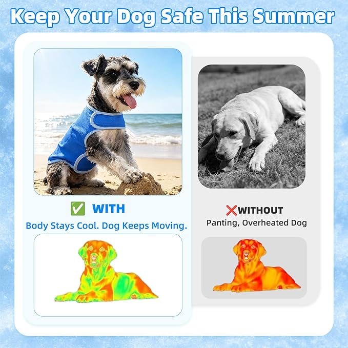 PUPTECK Dog Cooling Vest, Breathable Mesh PVA Dog Shirt, Lightweight Soft Instant Chill Sleeveless Pet Clothes, Adjustable Cooler Jacket Puppy Outfit for Hot Summer Outdoor, Blue S
