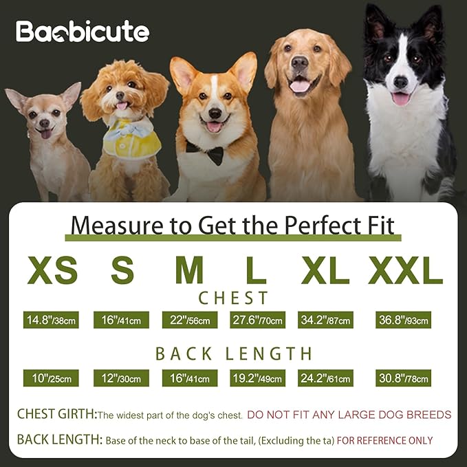 Dog Basic Hoodie Soft Dog Clothes Cold Weather Sweaters for Medium Large Dogs Cozy Fabric Warm Sweatshirt with Leash Hole for Boys (Security, Large (20-35 lbs))