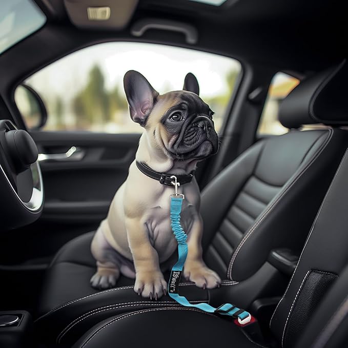 IBWell Dog Seat Belt with Elastic Bungee Leash, Car Seat Belt for Dogs (Red, 2PCS-27.6")