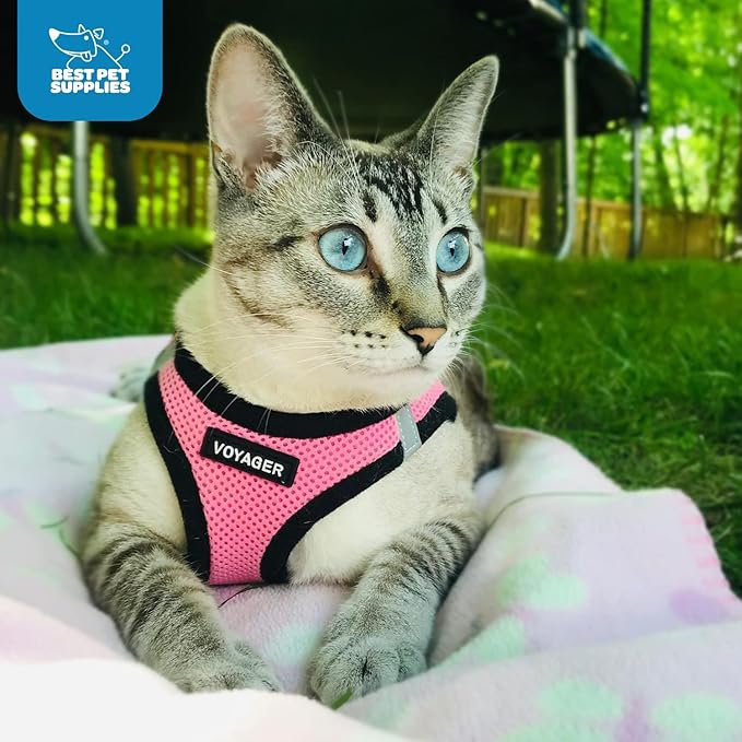 Best Pet Supplies - All Weather Mesh / Plush, Reflective, No Pull Harness for Small, Medium Dogs, Cats - Secure with Hook & Loop Fastener, Buckle, Double D-Rings - Pink/Black Trim, XS