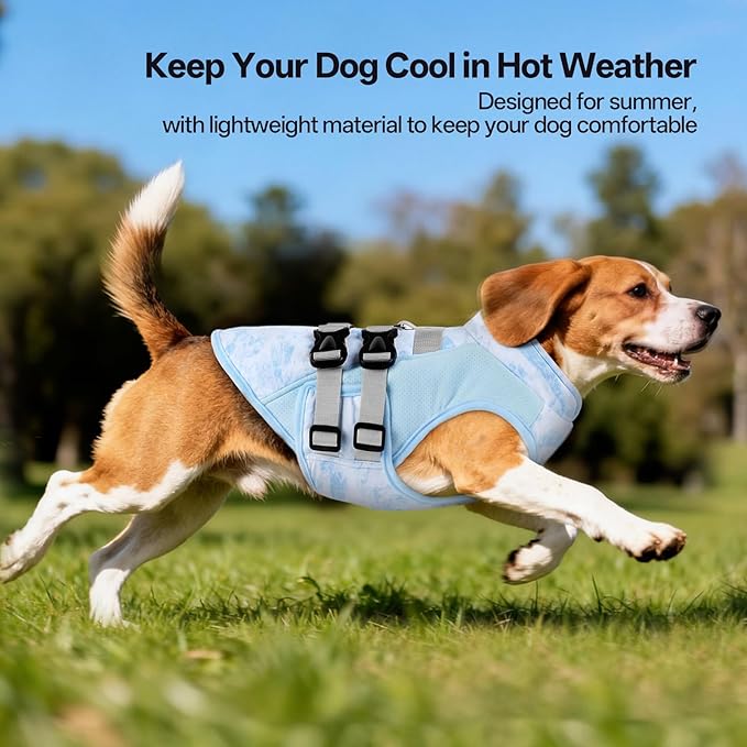 DORA BRIDAL Dog Cooling Vest for Summer, Lightweight Breathable Mesh Cooling Jacket with Harness, Soft Pet Cooler Shirt for Large Dogs, UV Protection for Beach Hiking Walking -XL, Blue
