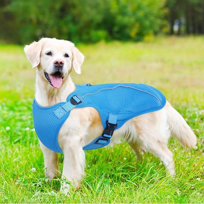 Kuoser Dog Cooling Vest Harness, Small Puppy Cooler Jacket with Adjustable Buckle for Outdoor Beach, Hiking, Training Blue S