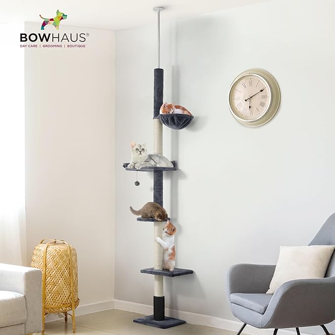 BOWHAUS Floor to Ceiling Cat Tree, Adjustable Height 104”-115” Multi-Tier Cat Climbing Tower w/Itching Scratcher, Cozy Hammock, Interactive Playball, Platforms for Indoor Cats, Dark Grey