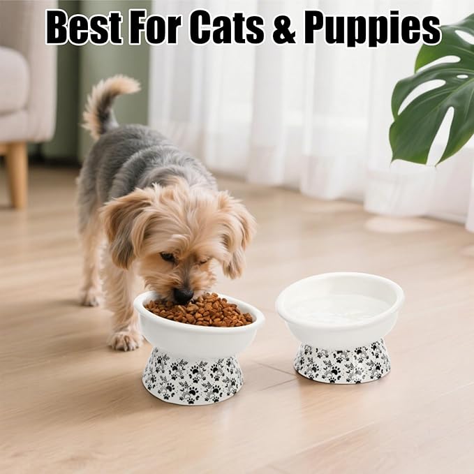 2 Pack Ceramic Elevated Cat Bowls, 6" Extra Wide Tilted Raised Pet Dish, Whisker Friendly Food and Water Bowl for Small Dogs, Anti Vomiting & Protect Pet's Spine, Microwave Dishwasher Safe