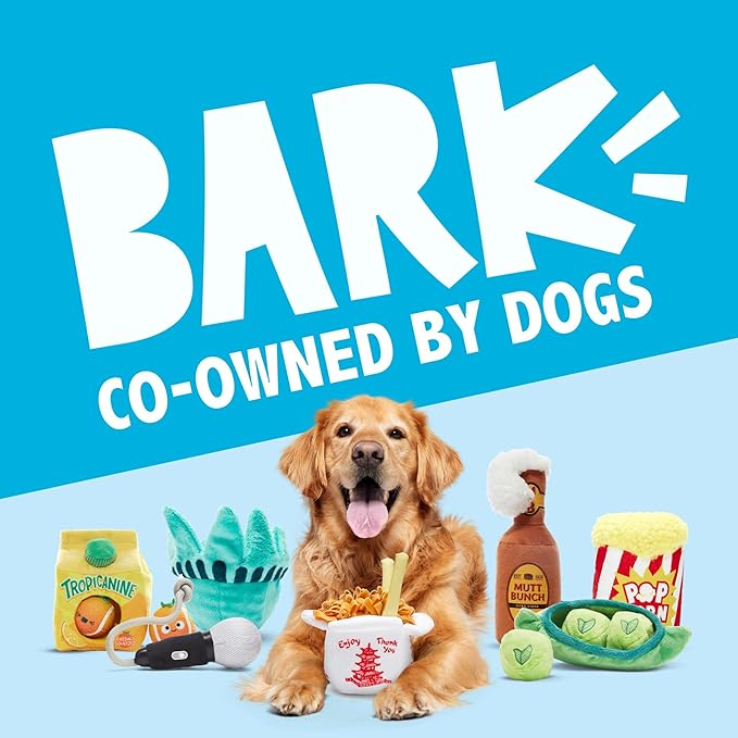 Barkbox Fetch N' Win Wheel Dog Toy | Fluff-Free Crinkle Disc with T-Shirt Rope & Reinforced Woven Binding | Fetch & Tug Toy for Dogs