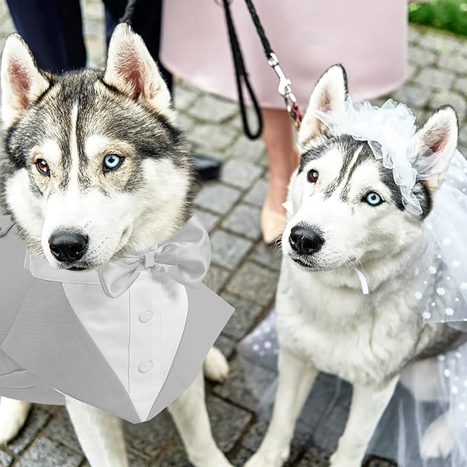 AOFITEE Dog Tuxedo for Large Dogs, Formal Dog Suit and Tie, Gentle Dogs Wedding Party Suit Bow Tie Shirt, Pet Wedding Outfit with Detachable Bowtie Collar for Christmas Halloween Dress Up