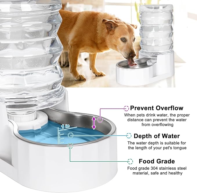 RIZZARI 6.5L Stainless Steel Pet Water Dispenser – Gravity Auto-Refill Waterer with Ion Exchange & Activated Carbon for Cats & Small Dogs, Spill-Resistant for Homes & Indoor Pet Spaces