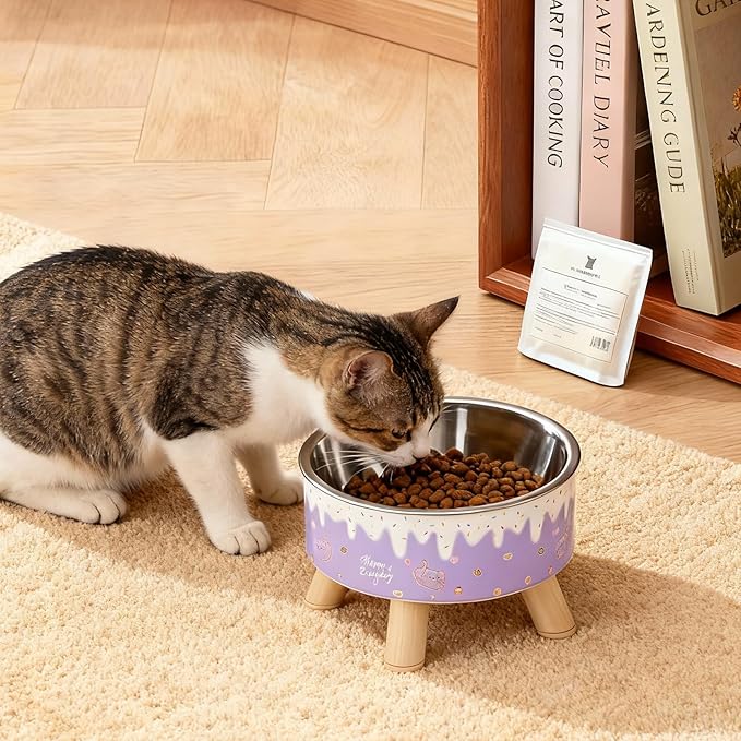Raised Cat Food Bowls,Elevated Kitten Bowls for Indoor Cats Ergonomic Cat Food Water Bowls Purple
