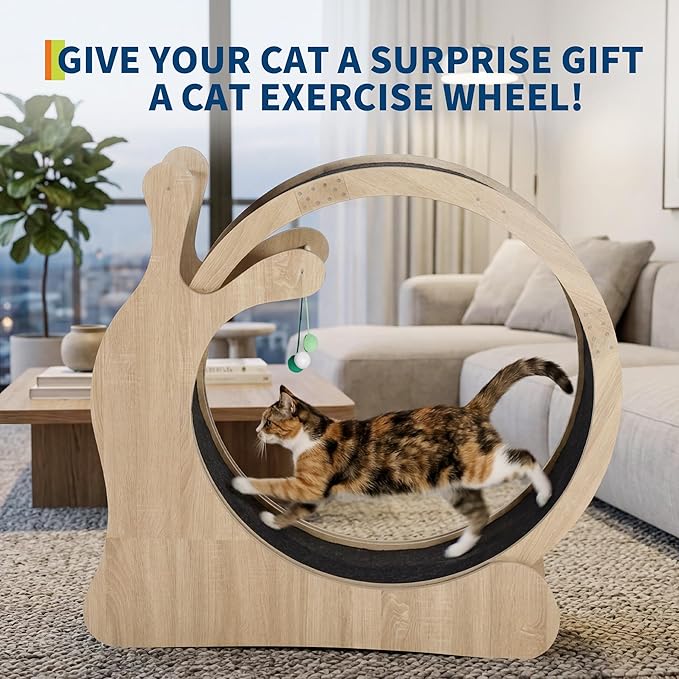 Large Cat Running Wheel, Cat Wheel for Indoor Cats 33.5" Inner Diameter Wood Pet Treadmill with Scratching Board and Playing Balls Quiet Cats Wheel Exerciser Natural Wood