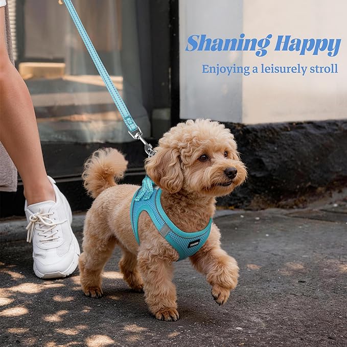 YIMEIS Dog Harness and Leash Set, No Pull Soft Mesh Pet Harness, Reflective Adjustable Puppy Vest for Small Medium Large Dogs, Cats (Sky Blue, Medium (Pack of 1)