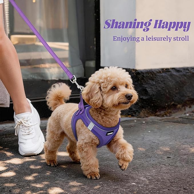 YIMEIS Dog Harness and Leash Set, No Pull Soft Mesh Pet Harness, Reflective Adjustable Puppy Vest for Small Medium Large Dogs, Cats (Purple, Small (Pack of 1)