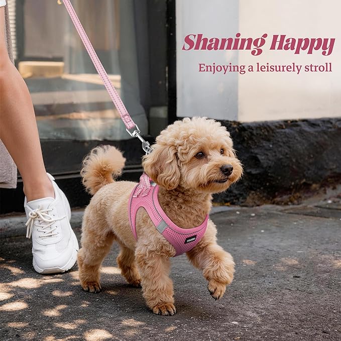 YIMEIS Dog Harness and Leash Set, No Pull Soft Mesh Pet Harness, Reflective Adjustable Puppy Vest for Small Medium Large Dogs, Cats (Pink, Small (Pack of 1)